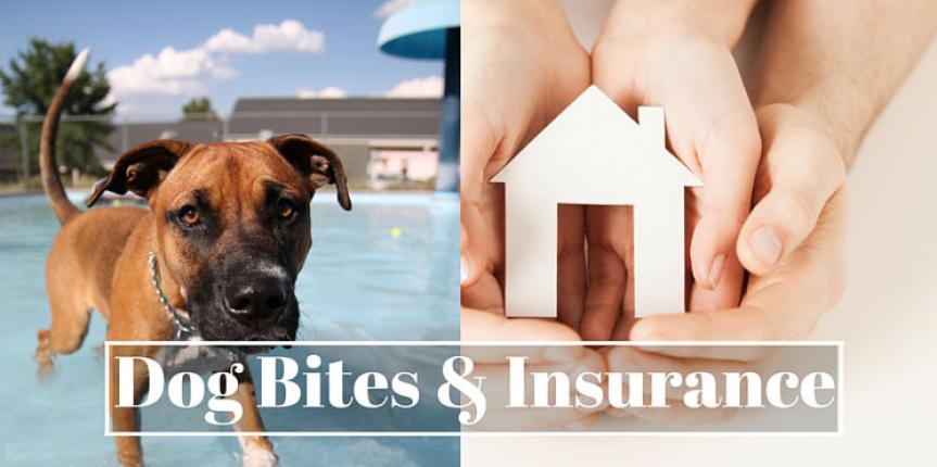 will my renters insurance cover a dog bite